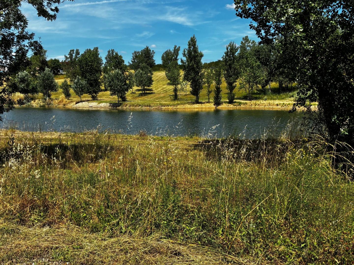 Terrain à vendre - 40472m2 - Revel (31250)
