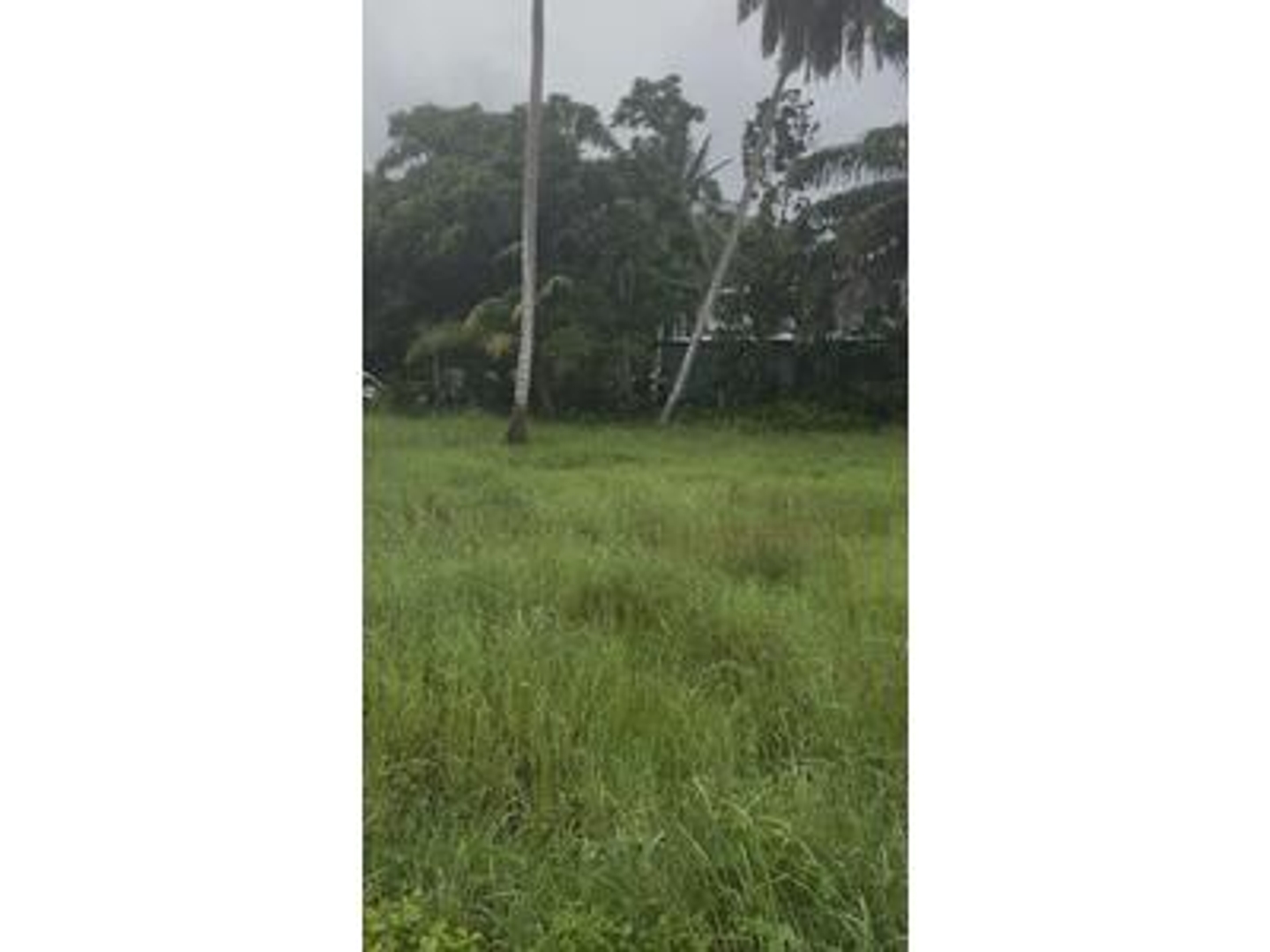 TERRAIN + MAISON A MORNE À L EAU