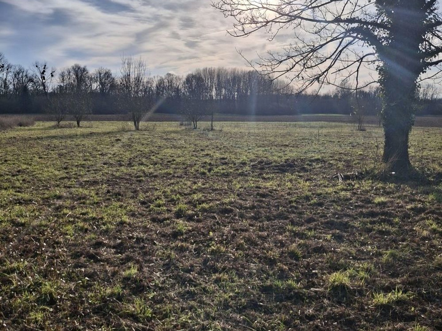 Vente Terrain à bâtir 10 024 m²