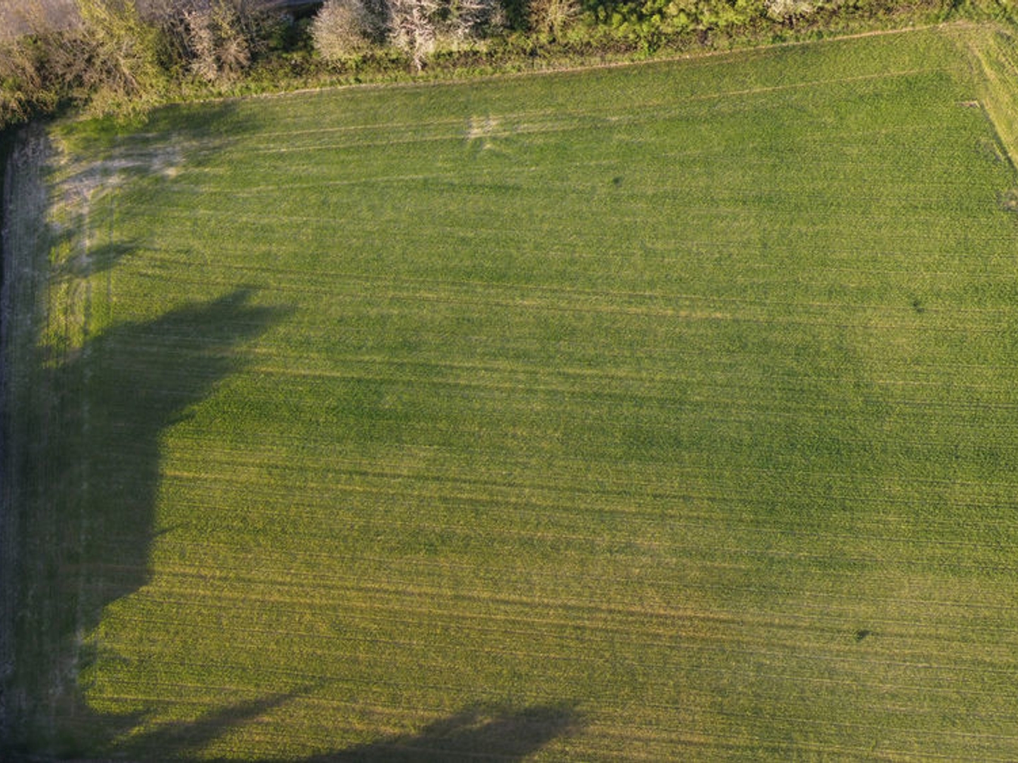 Terrain à vendre - 5000m2 - Tournus (71700)