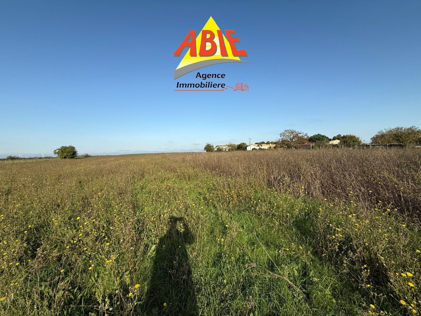 Terrain en individuel 6804 m²