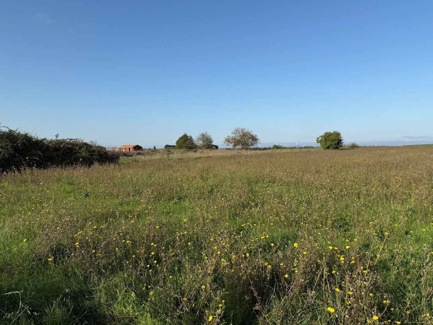Terrain à vendre - 6804m2 - Bouillé-Courdault (85420)