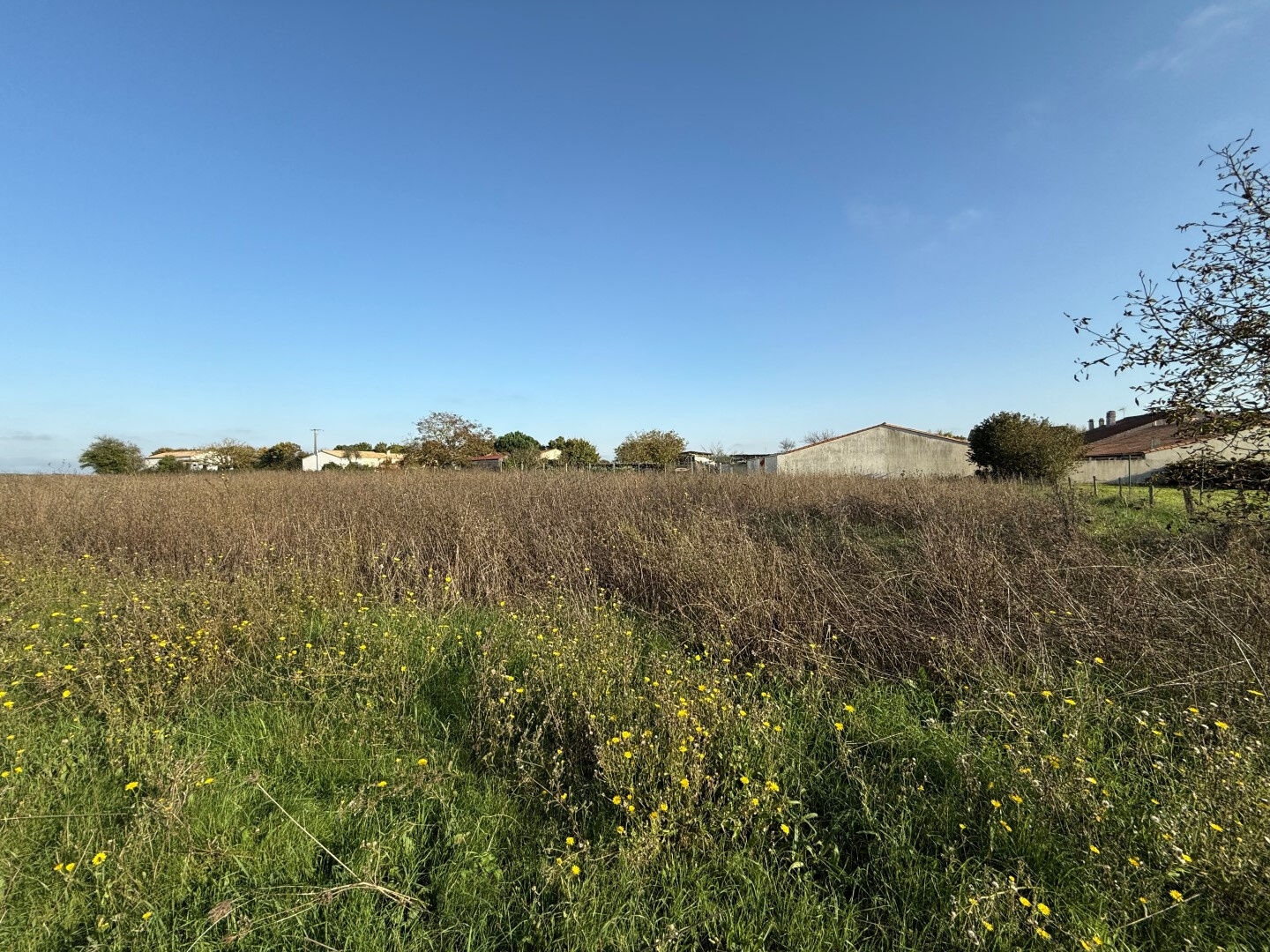 Terrain à vendre - 6804m2 - Bouillé-Courdault (85420)