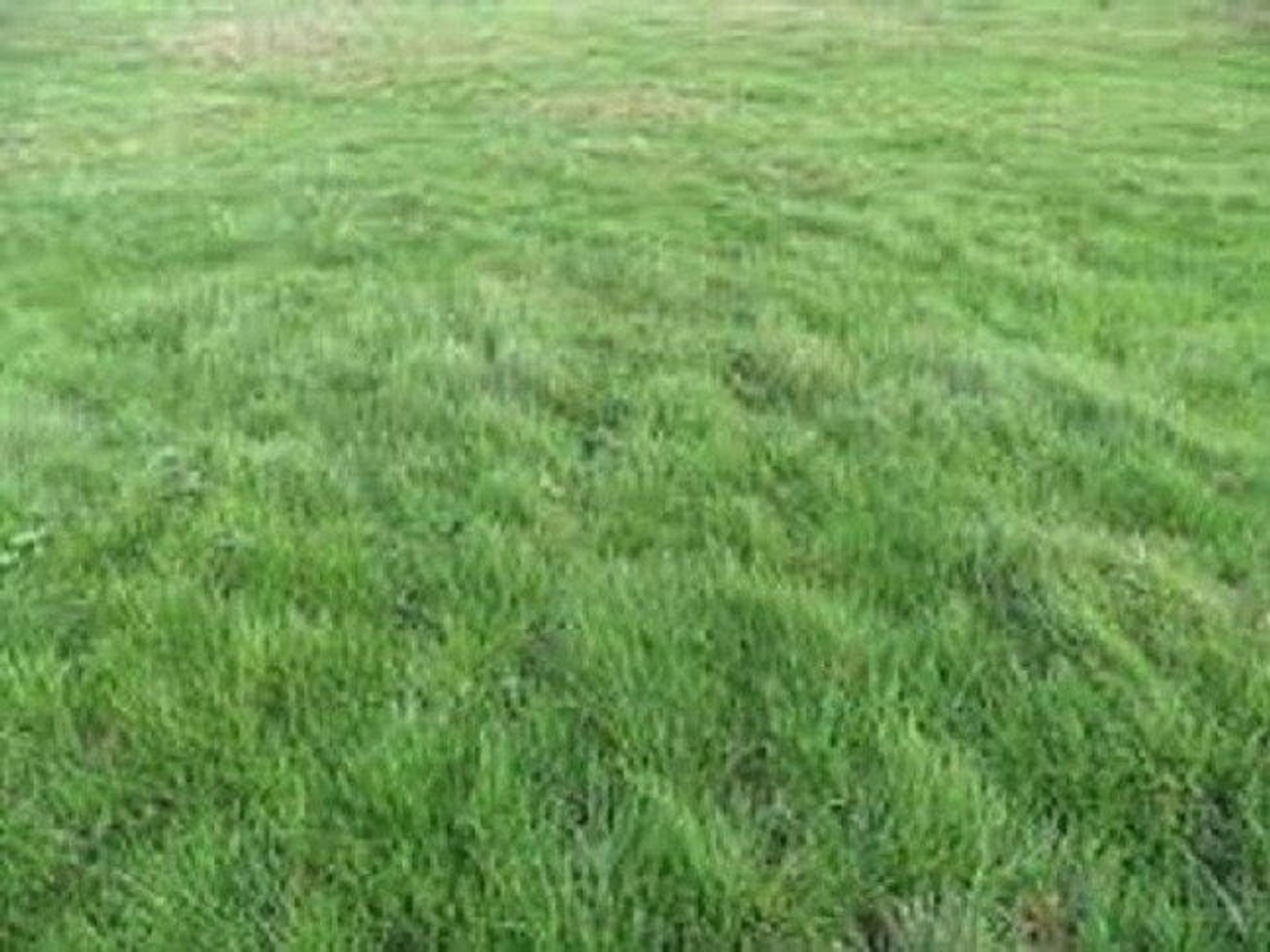Terrain à vendre - 652m2 - Dammartin-Sur-Tig... (77163)