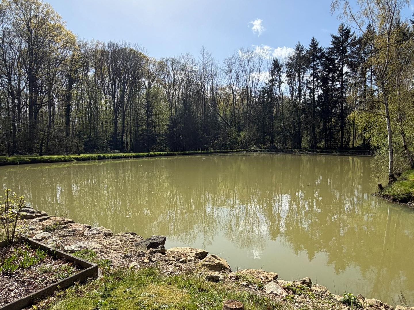 Terrain à vendre - 17193m2 - Nogent-Le-Bernard (72110)
