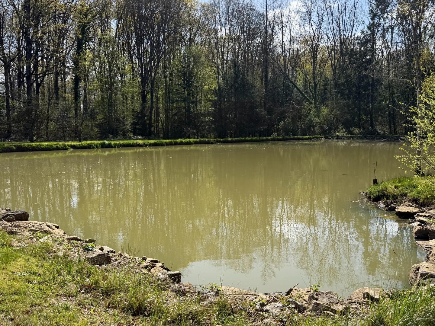 Terrain à vendre - 17193m2 - Nogent-Le-Bernard (72110)