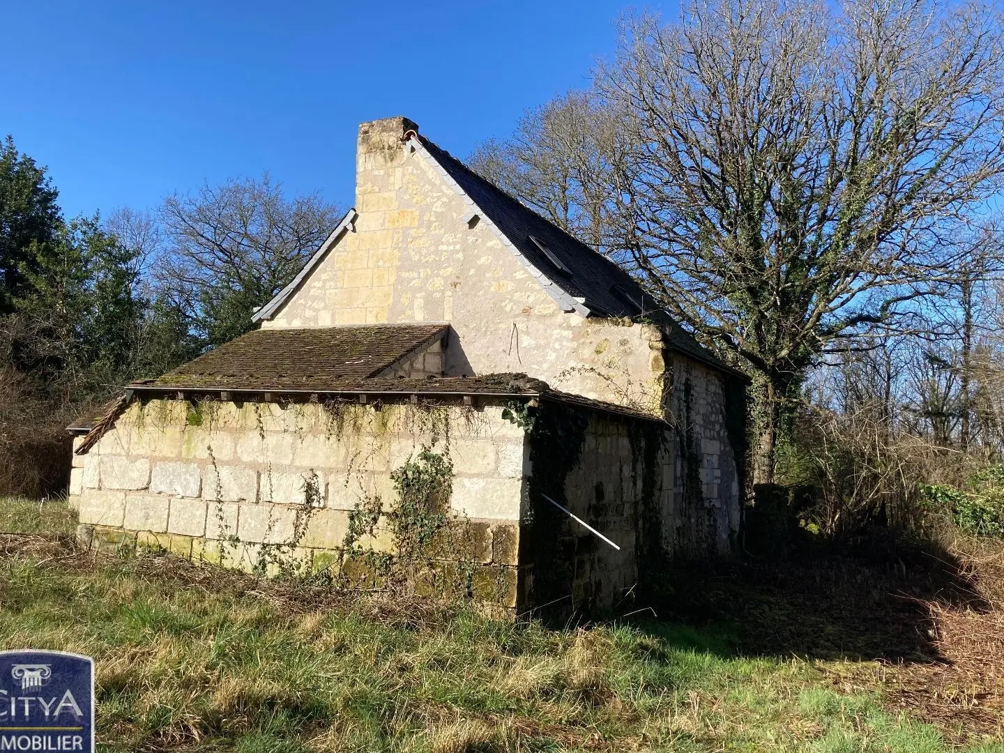 Maison à vendre - 2 pièces - 80m2 - Rigny-Ussé (37420)