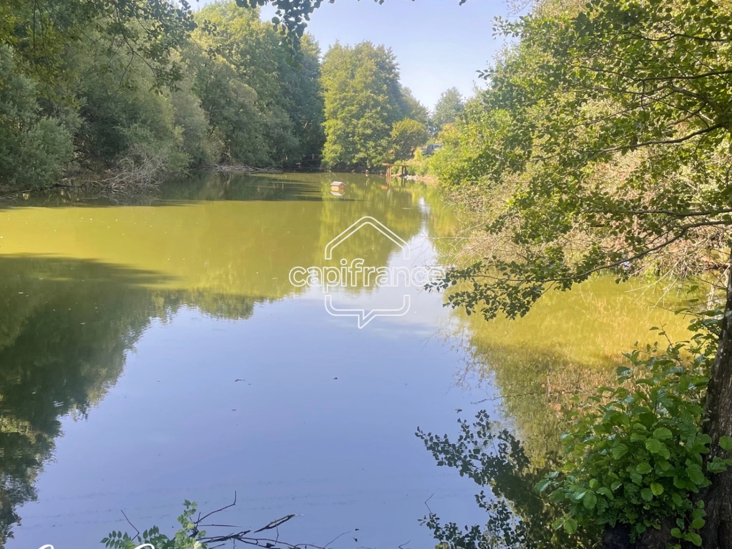 Terrain à vendre - 15000m2 - Parthenay (79200)