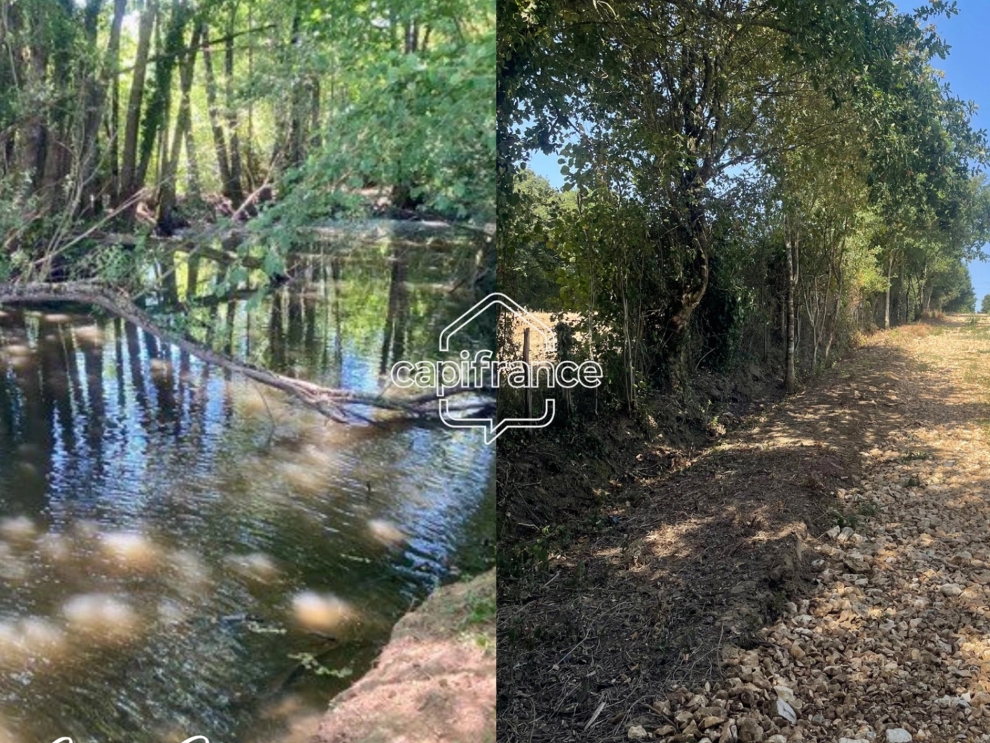 Terrain à vendre - 15000m2 - Parthenay (79200)