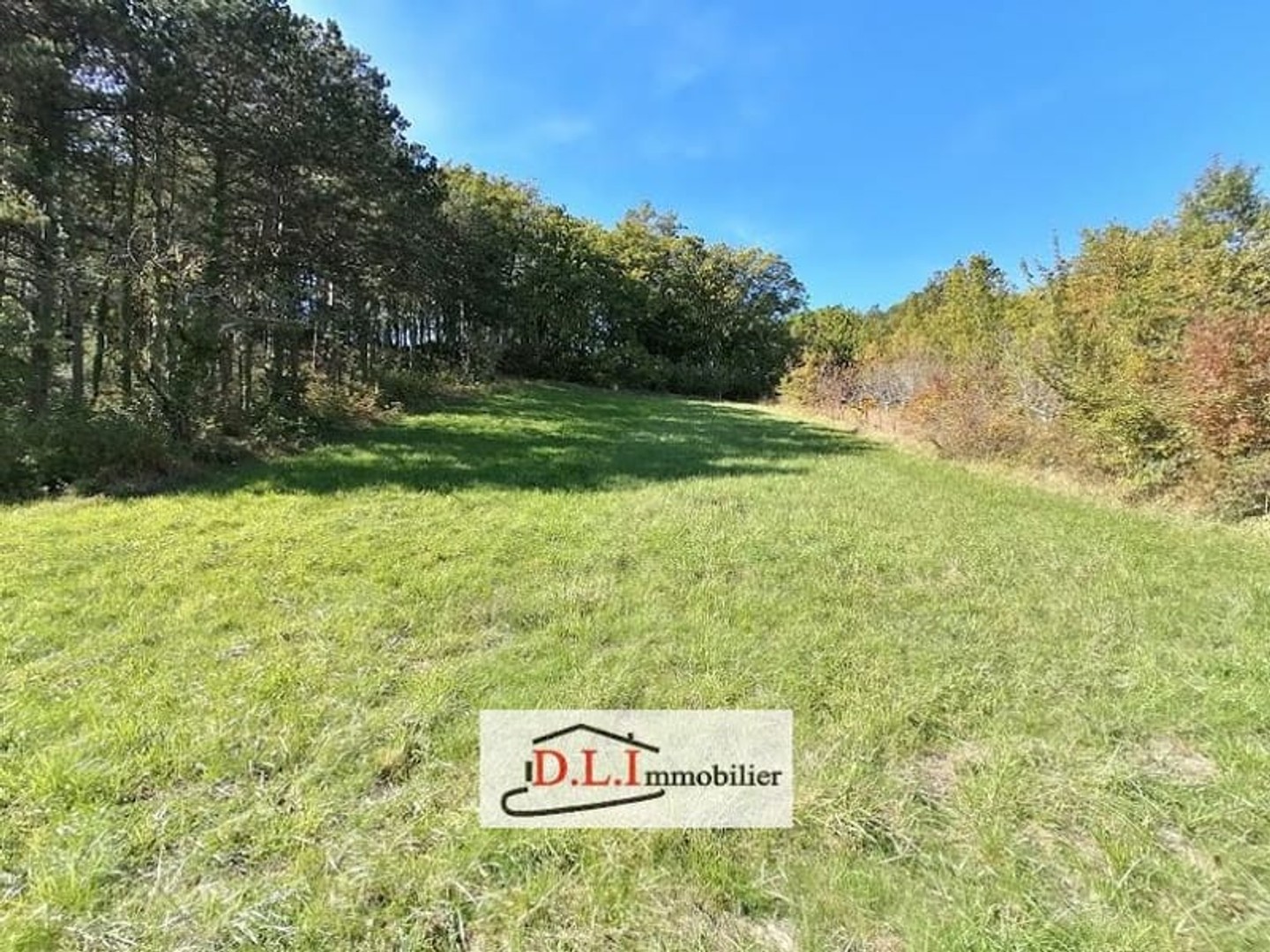 Terrain 901 m²
