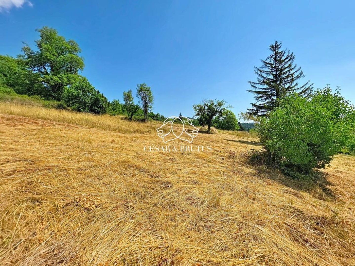Terrain à vendre - 958m2 - Saint-Vincent (43800)