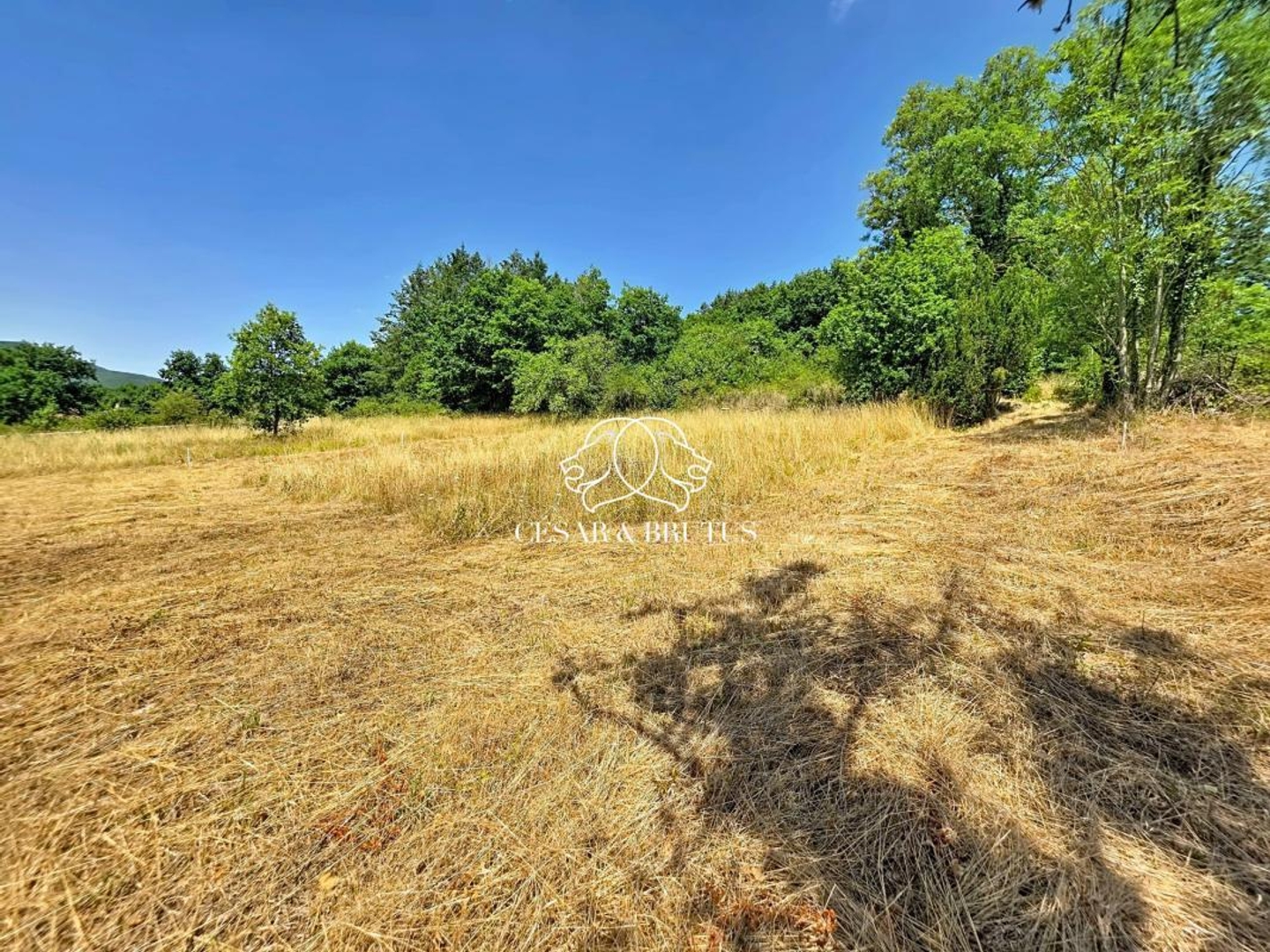 Terrain à vendre - 958m2 - Saint-Vincent (43800)