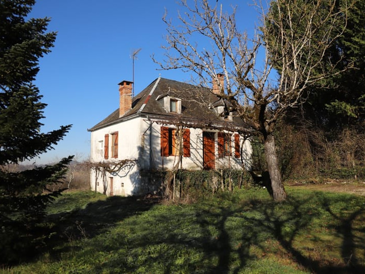 Maison en pierre sur grand terrain