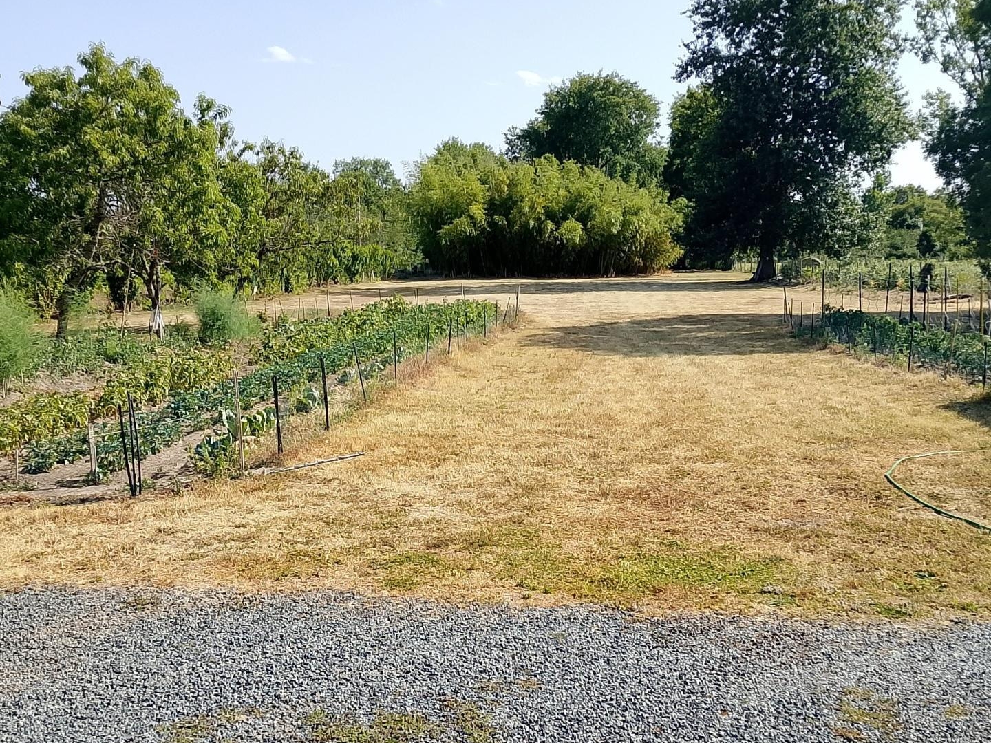 Maison à vendre - 10 pièces - 120m2 - Luant (36350)