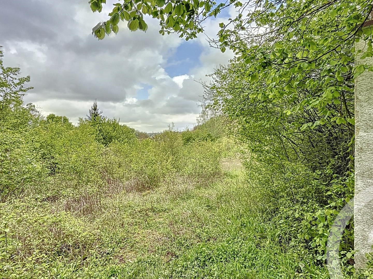 Terrain 3787 m²