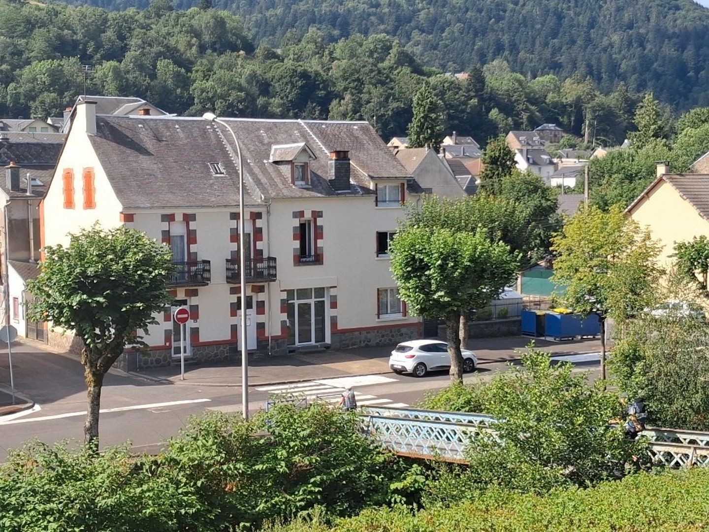 Maison à vendre - 12 pièces - 345m2 - La Bourboule (63150)
