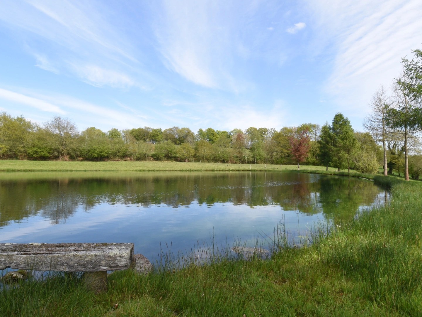 Terrain 38854 m²