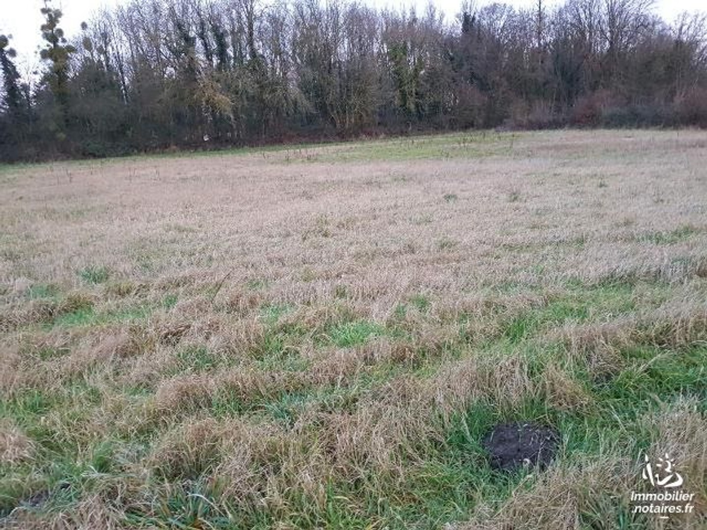Terrain à vendre - 6285m2 - Canchy (80150)
