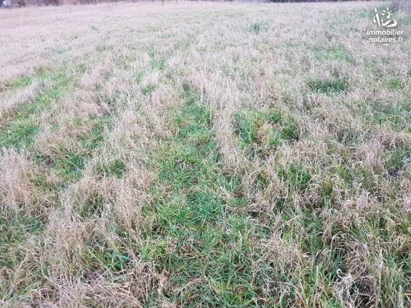 Terrain à vendre - 6285m2 - Canchy (80150)