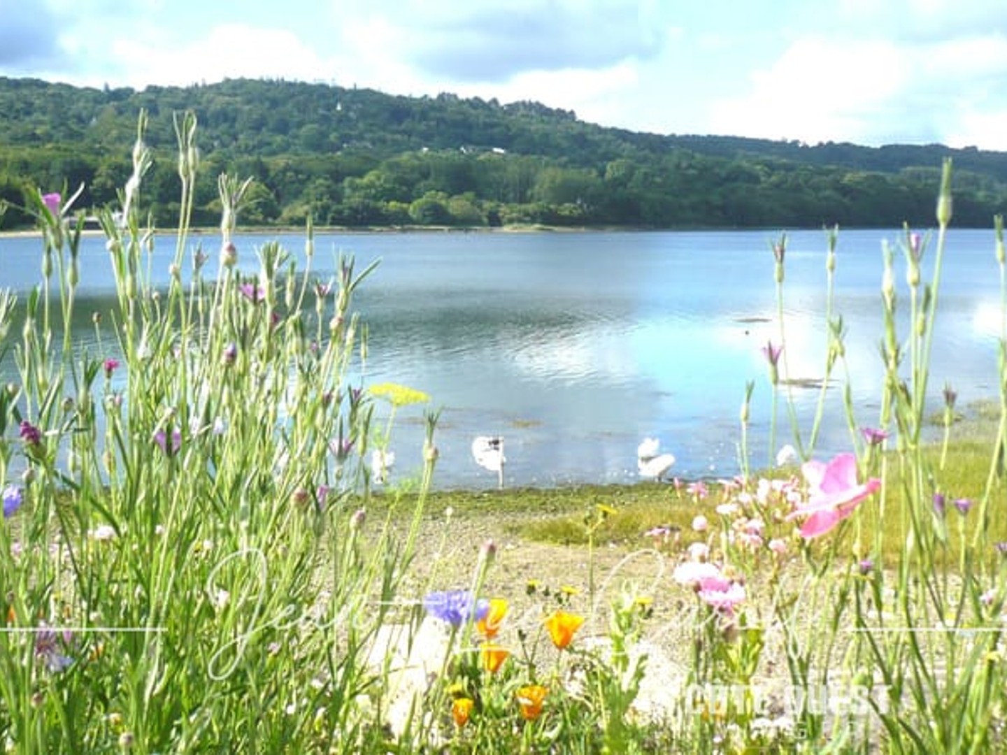 VIAGER OCCUPÉ - La FOREST-LANDERENAU (29) Bouquet 148.000 € - Rente 741 € - Maison T.5 + Appartement T.2