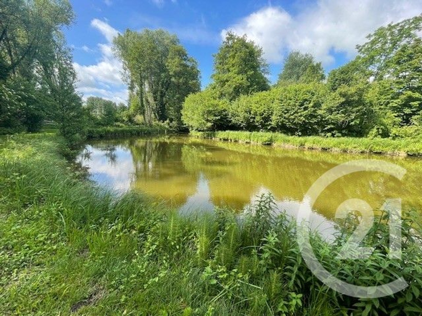 Terrain 14768 m²