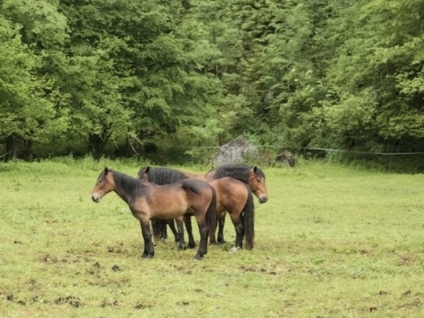 Propriété 4 pièces 150 m²
