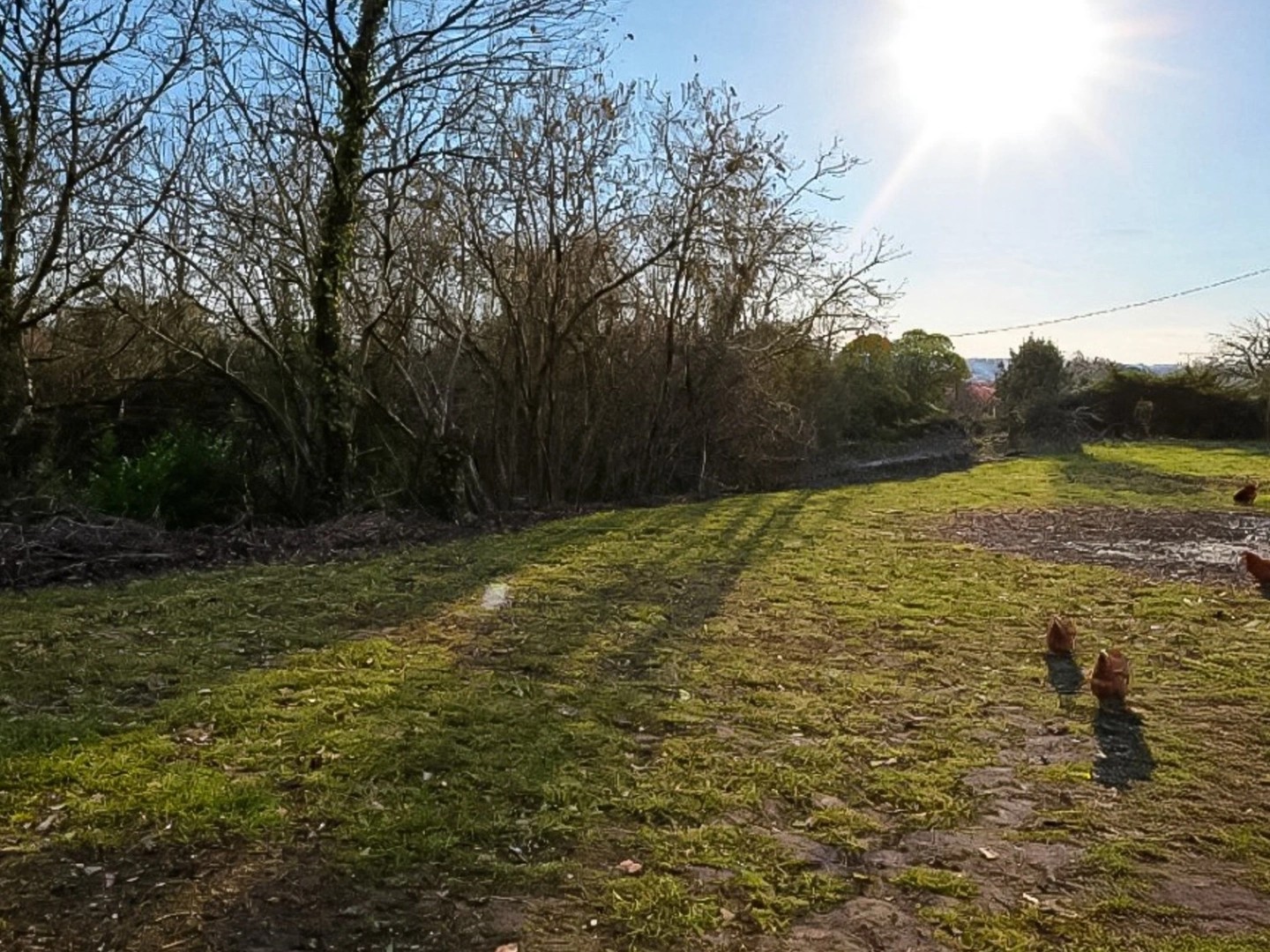 Terrain 1900 m²