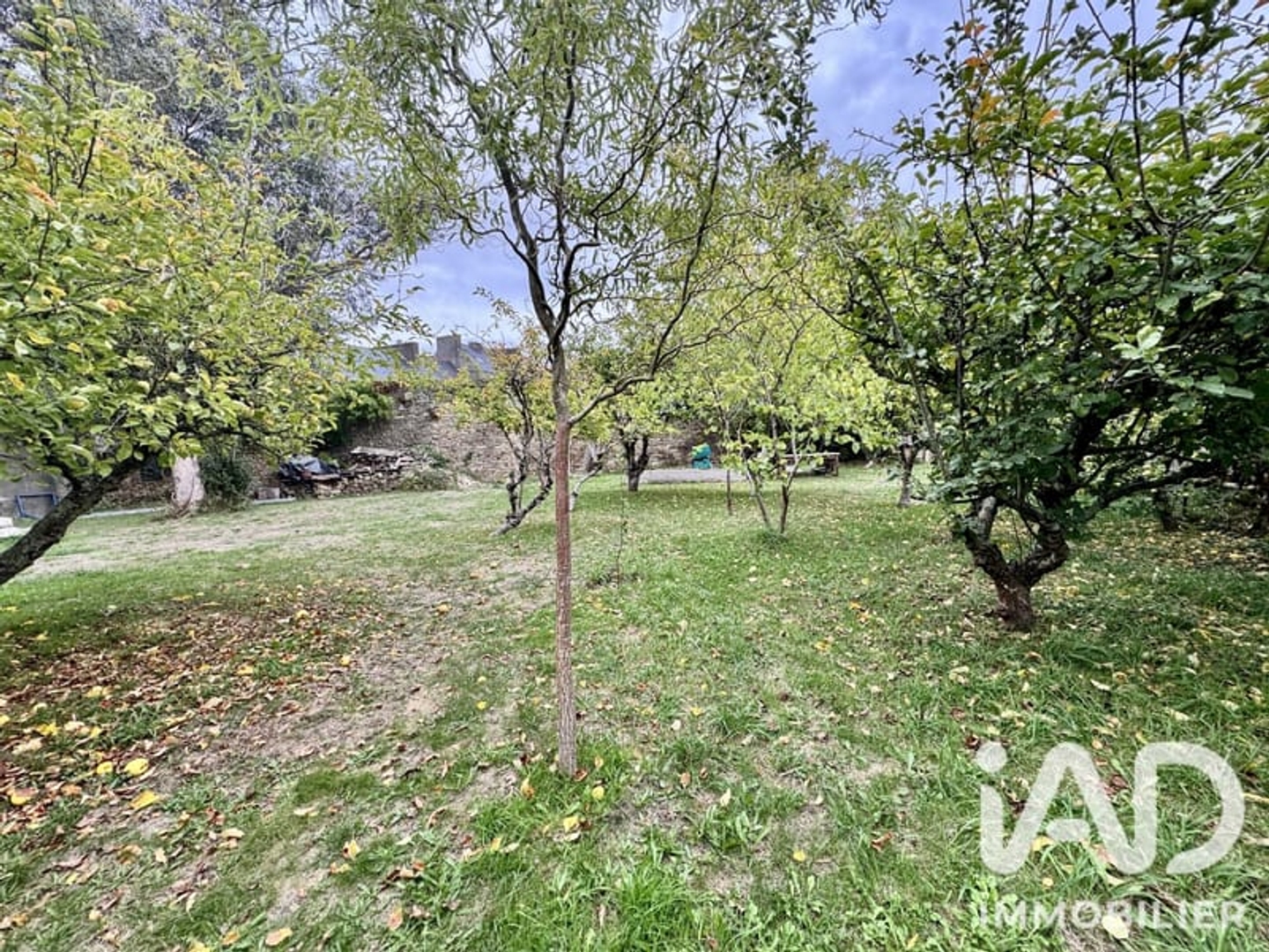 Magasin à vendre - 1 pièce - 339m2 - Bannalec (29380)