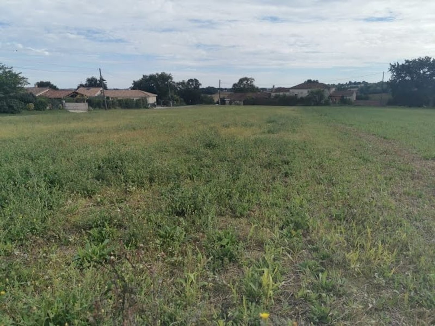 Terrain 1500 m²