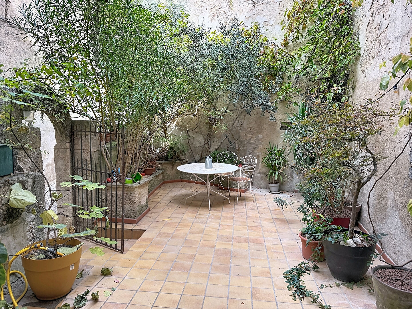 Maison de charme rénovée - 101 m² - 3 chambres et Grande cour arborée, Garage et caves