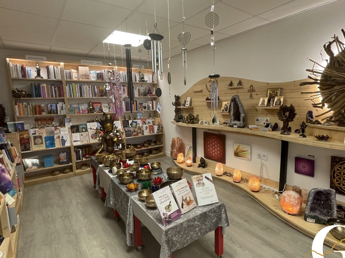 Magasin à vendre - 243m2 - Grenoble (38000)