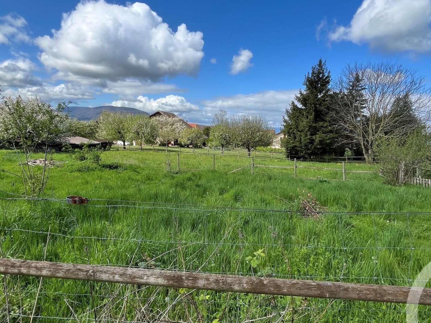 Terrain 715 m²