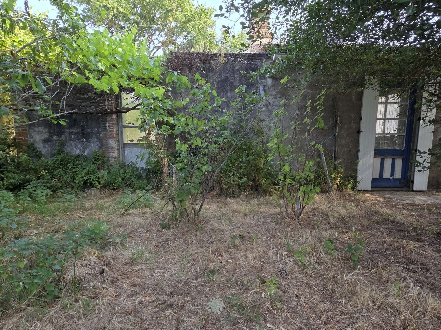 Maison 1 pièce