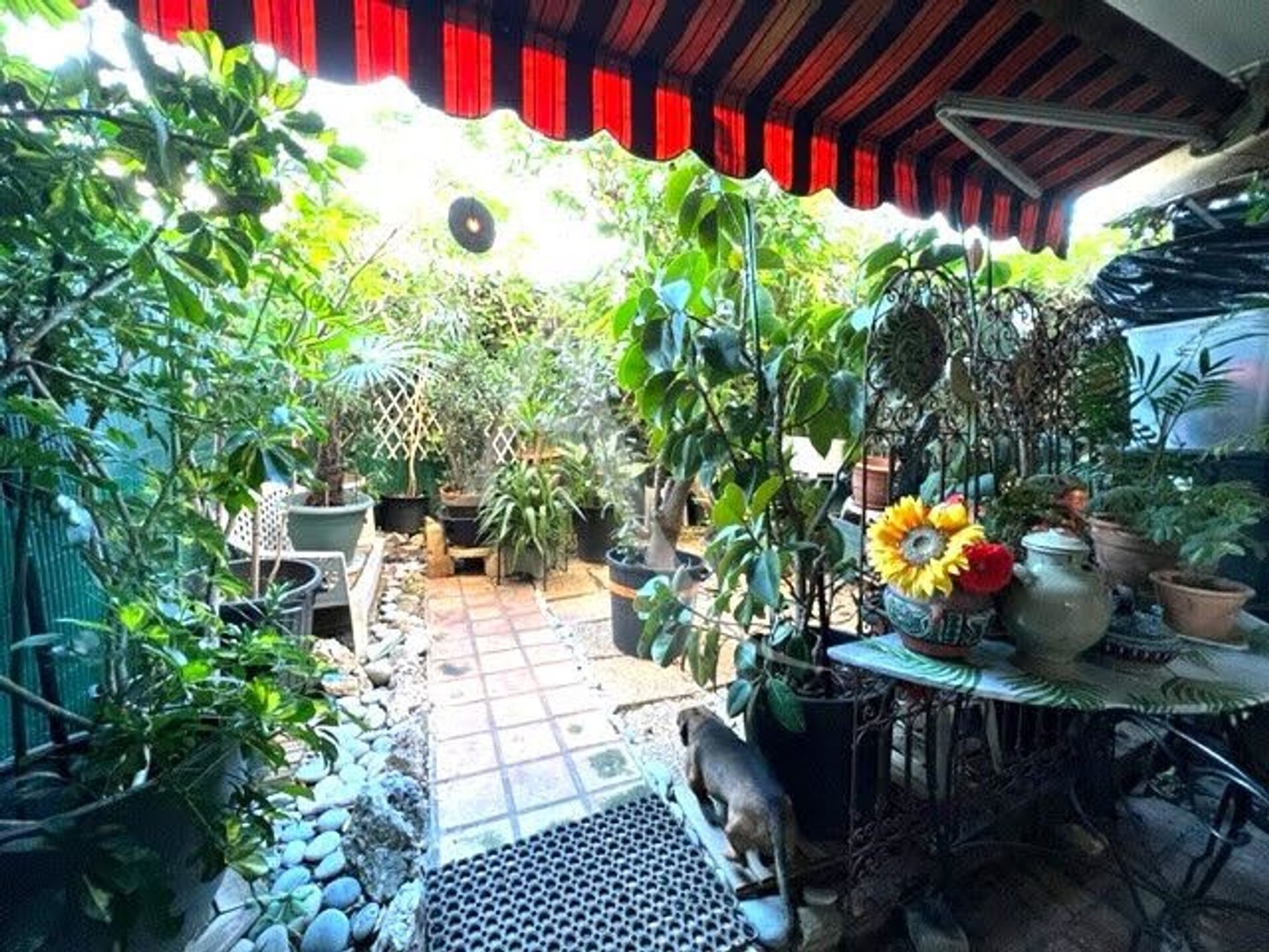 Viager 1 pièce 31 m²