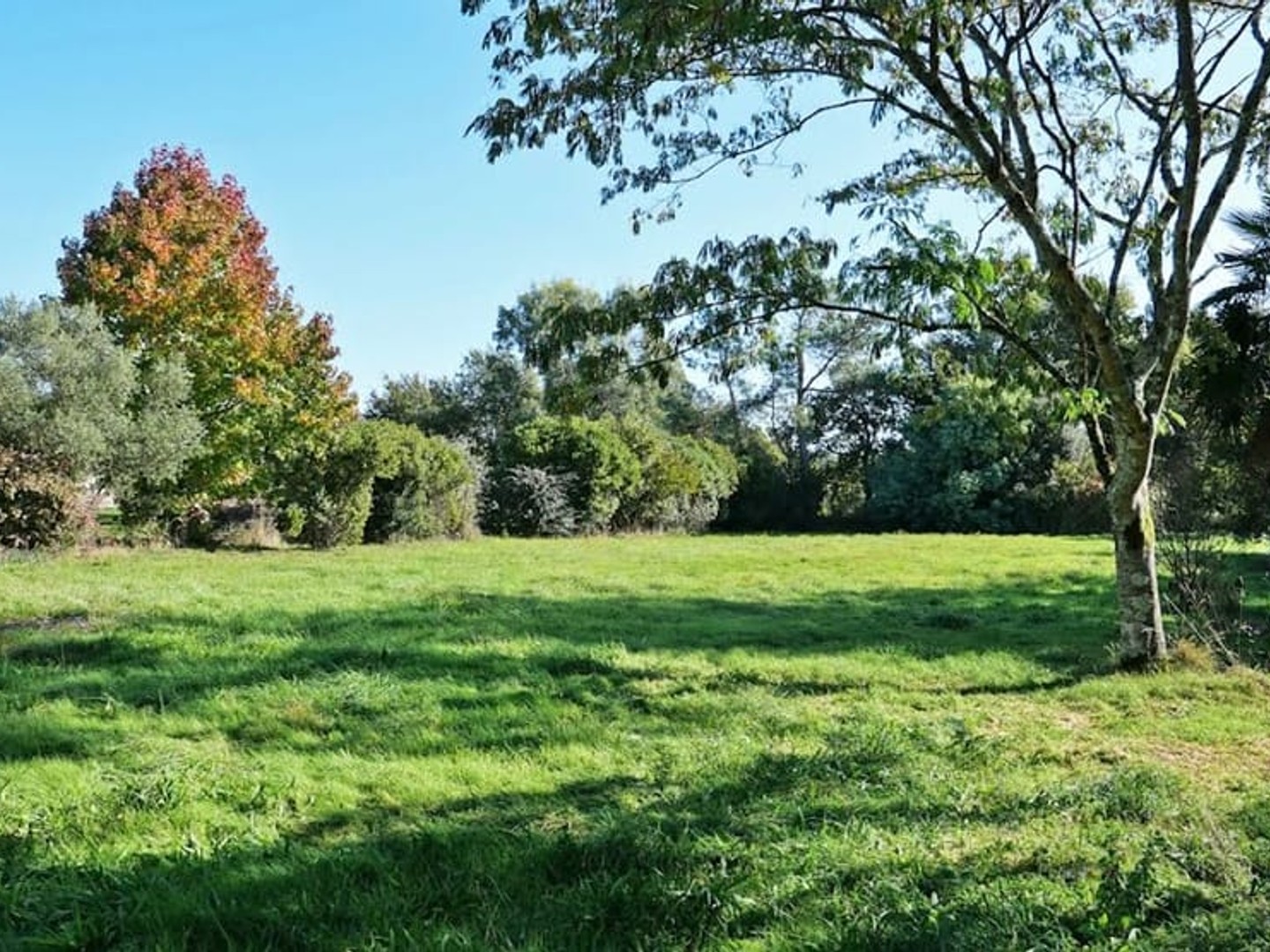 Terrain 400 m²