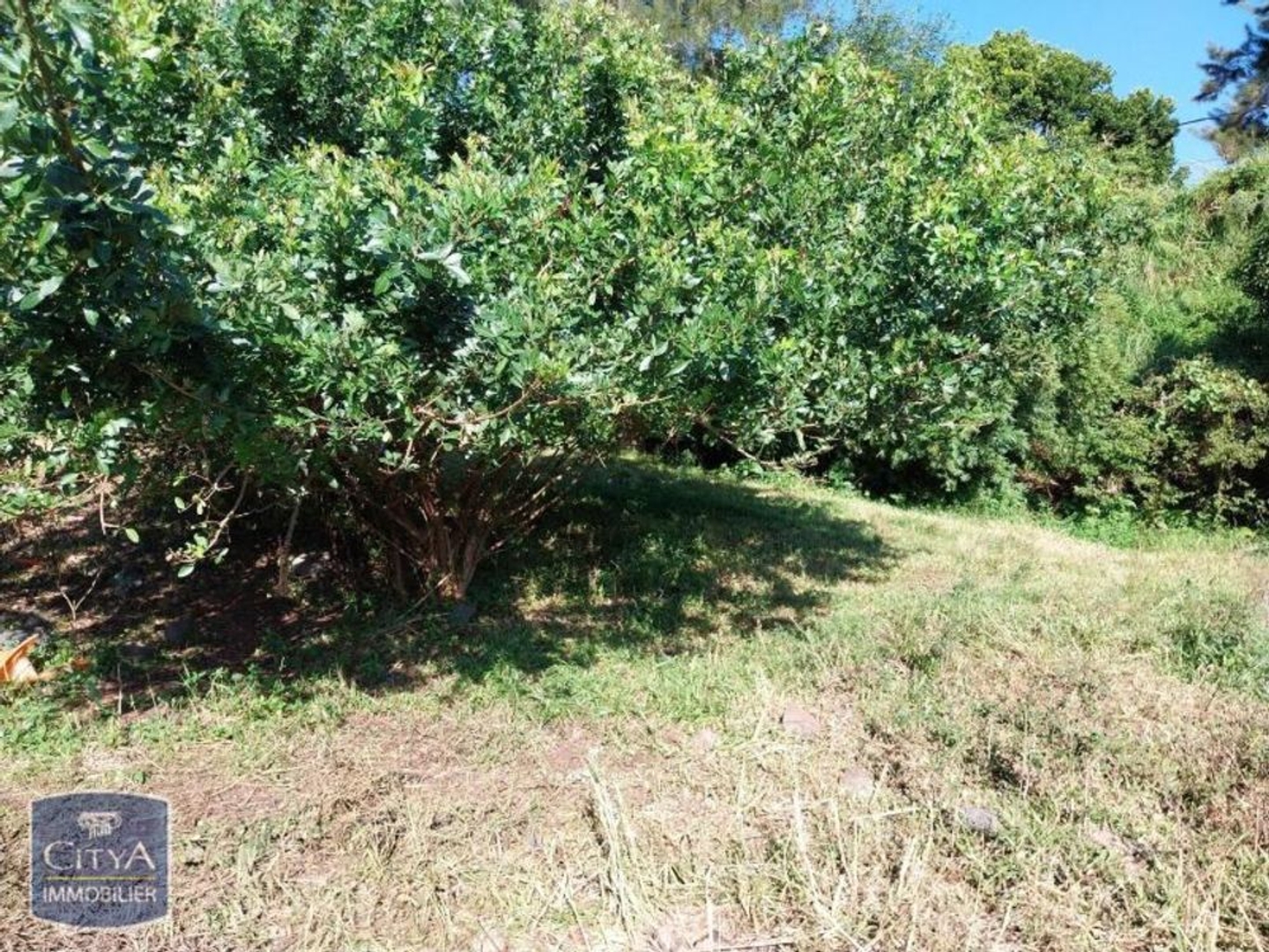 Terrain 36820 m²