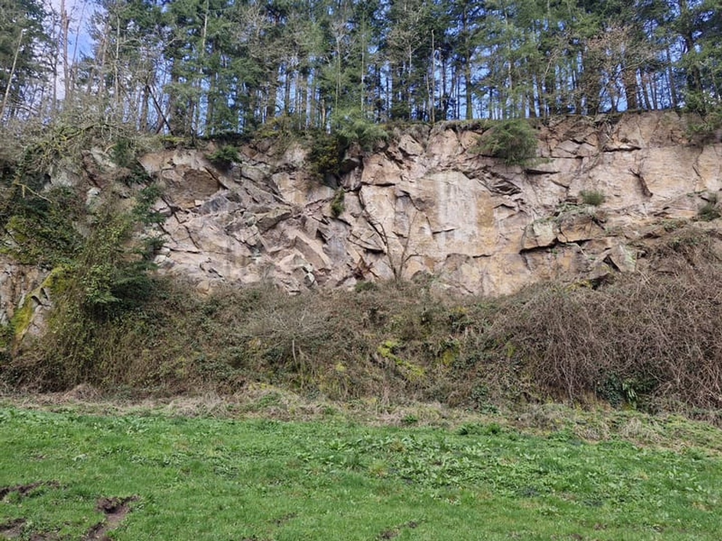 Terrain à vendre - Torigny-Les-Villes (50160)