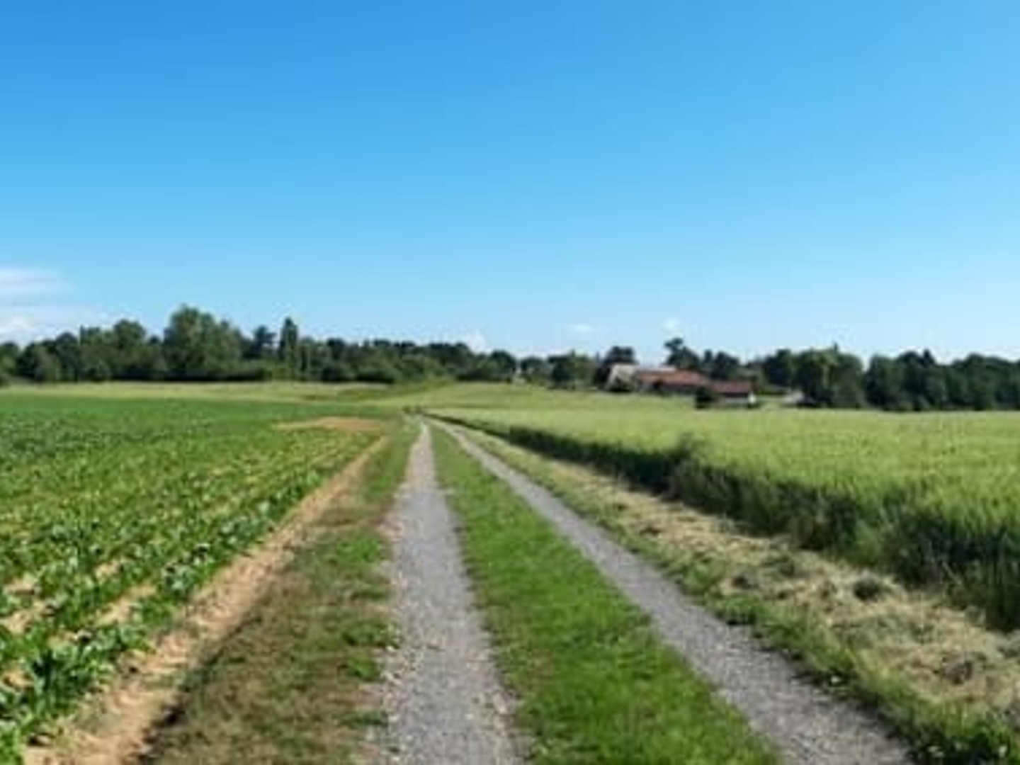 Terrain 439 m²