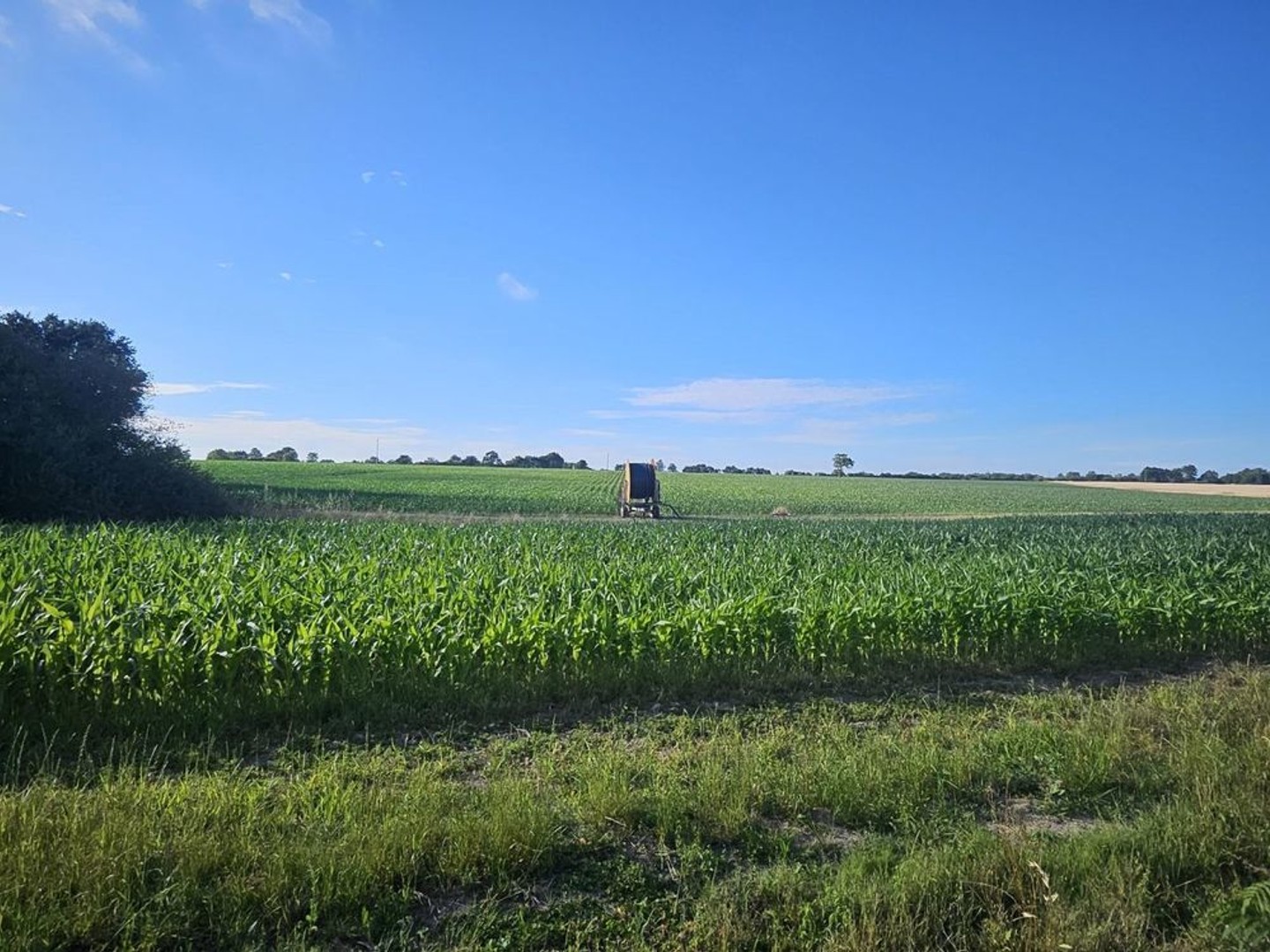 Maison à vendre - 5 pièces - 117m2 - Saint-Mathurin (85150)