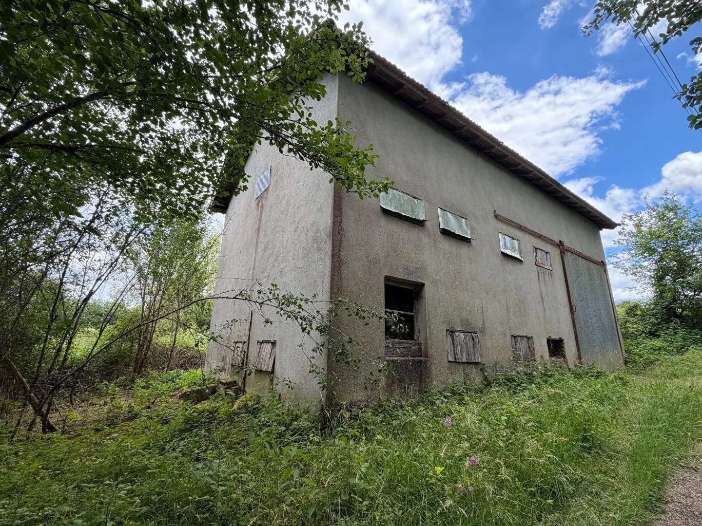 Local 55 m²