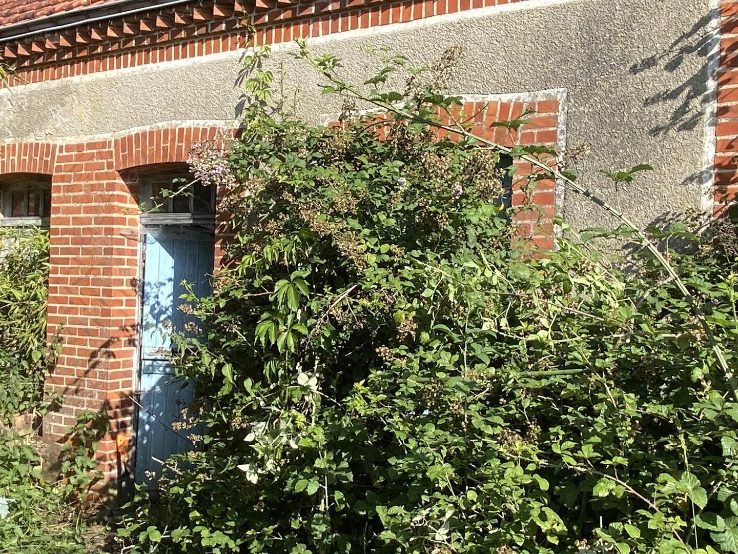 Maison à rénover 55 m²