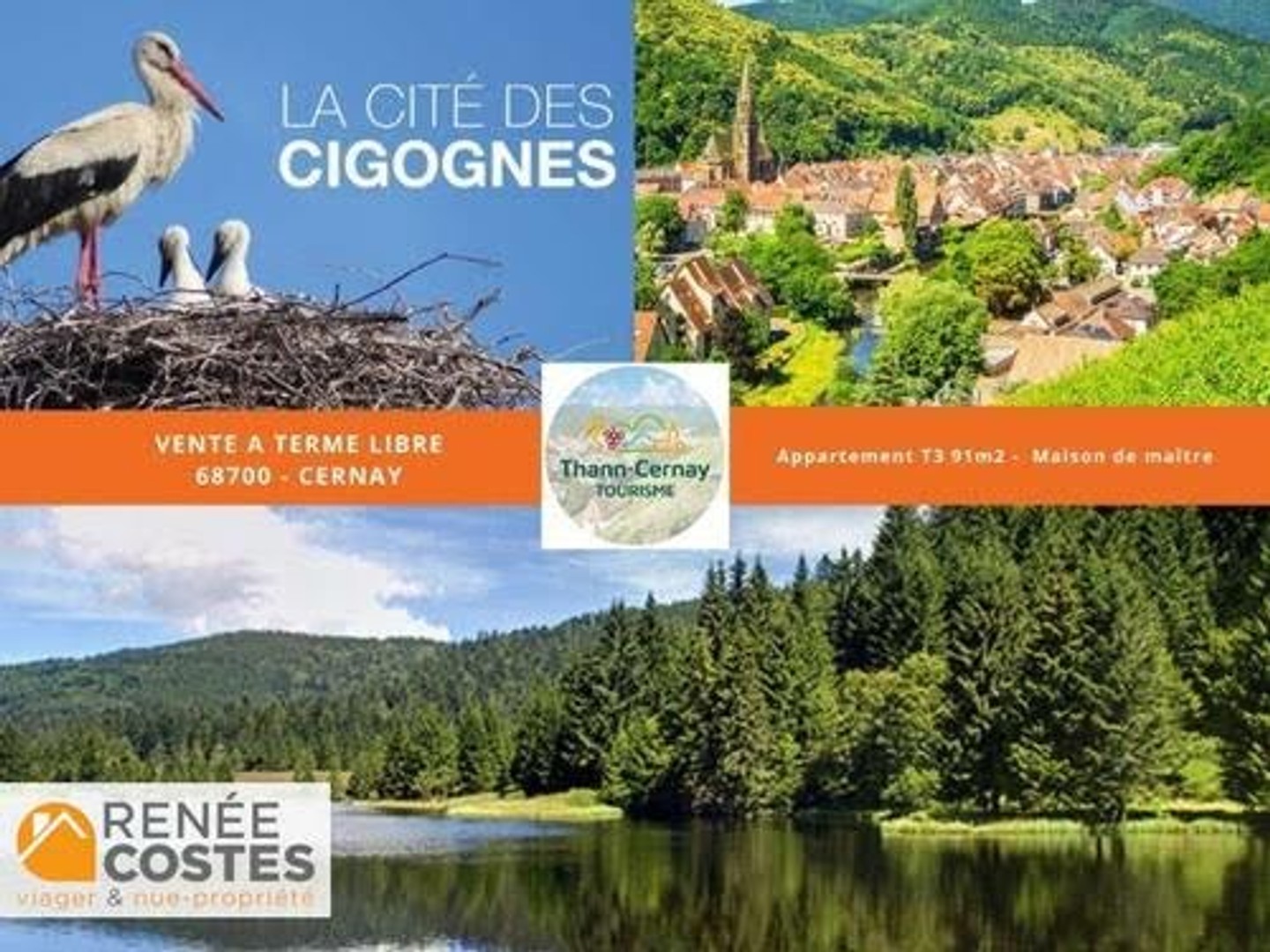 Viager 3 pièces 92 m²