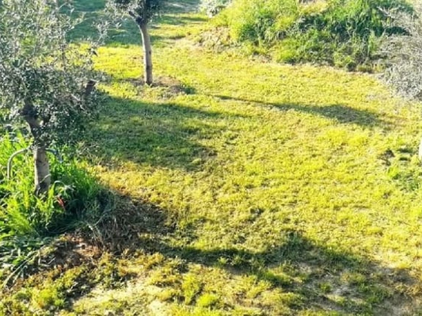 Maison 4 pièces 112 m²