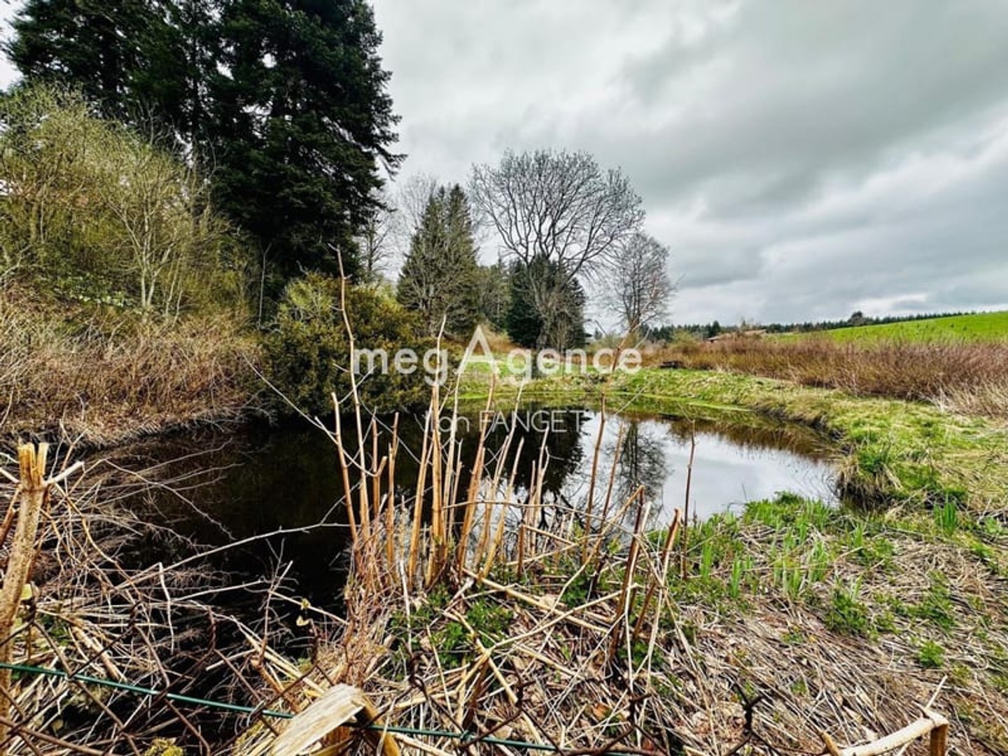 À VENDRE - PROJET ATYPIQUE - FORT POTENTIEL - SAINT GENEST MALIFAUX - GYMNASE À RÉNOVER 264m2 et 1 Hectare de Terrain