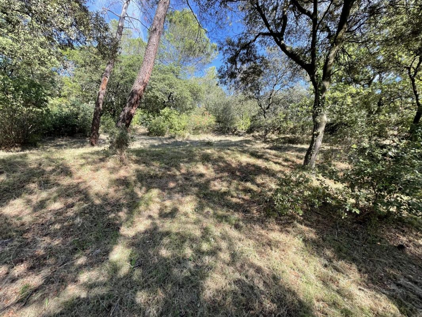 Terrain en individuel 3474 m²