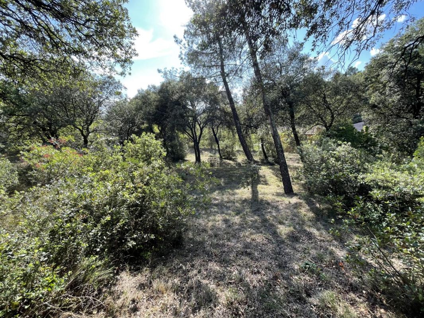 Terrain à vendre - 3474m2 - Piolenc (84420)