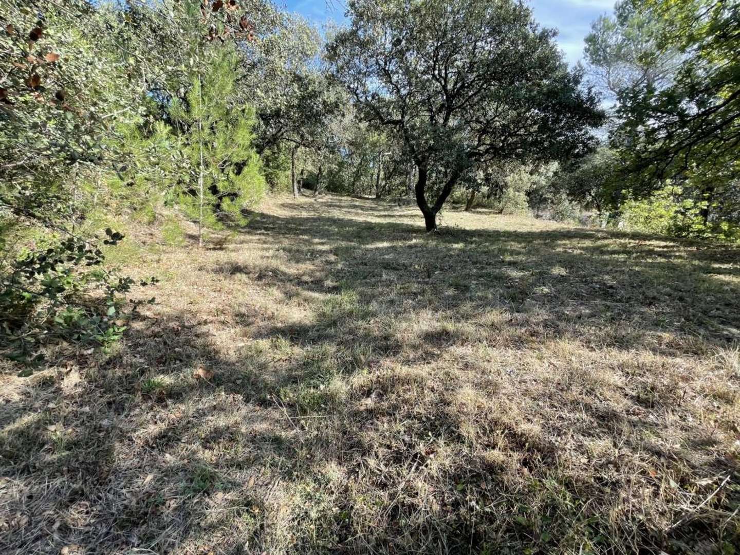Terrain à vendre - 3474m2 - Piolenc (84420)