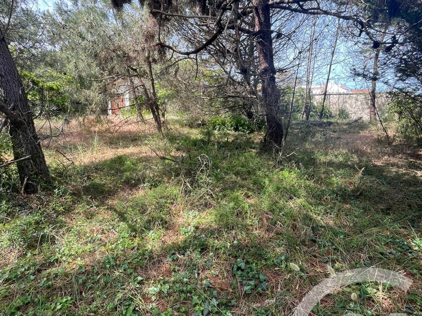 Terrain 500 m²