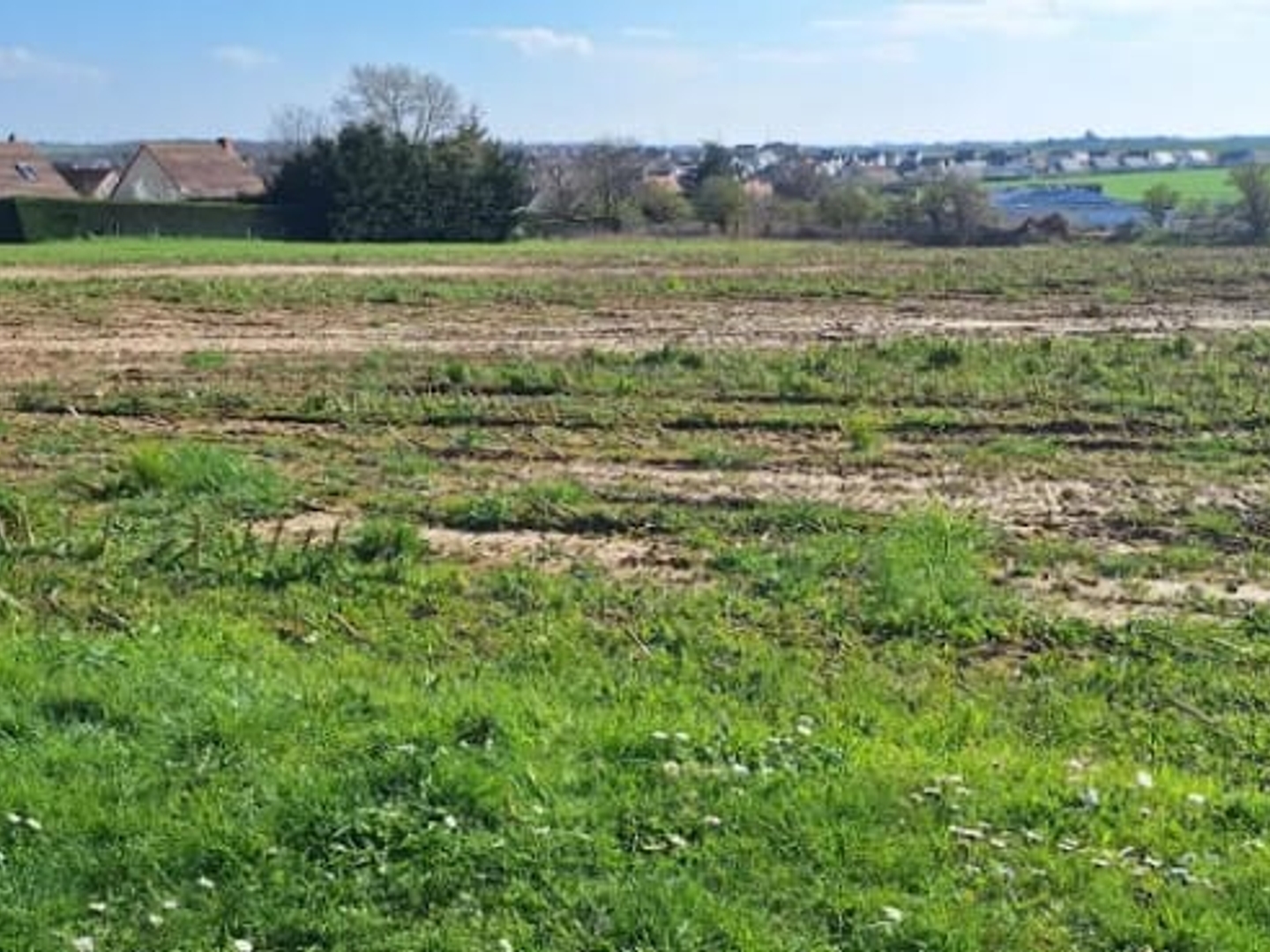 Terrain à vendre - 313m2 - Saint-André-Sur-Orne (14320)