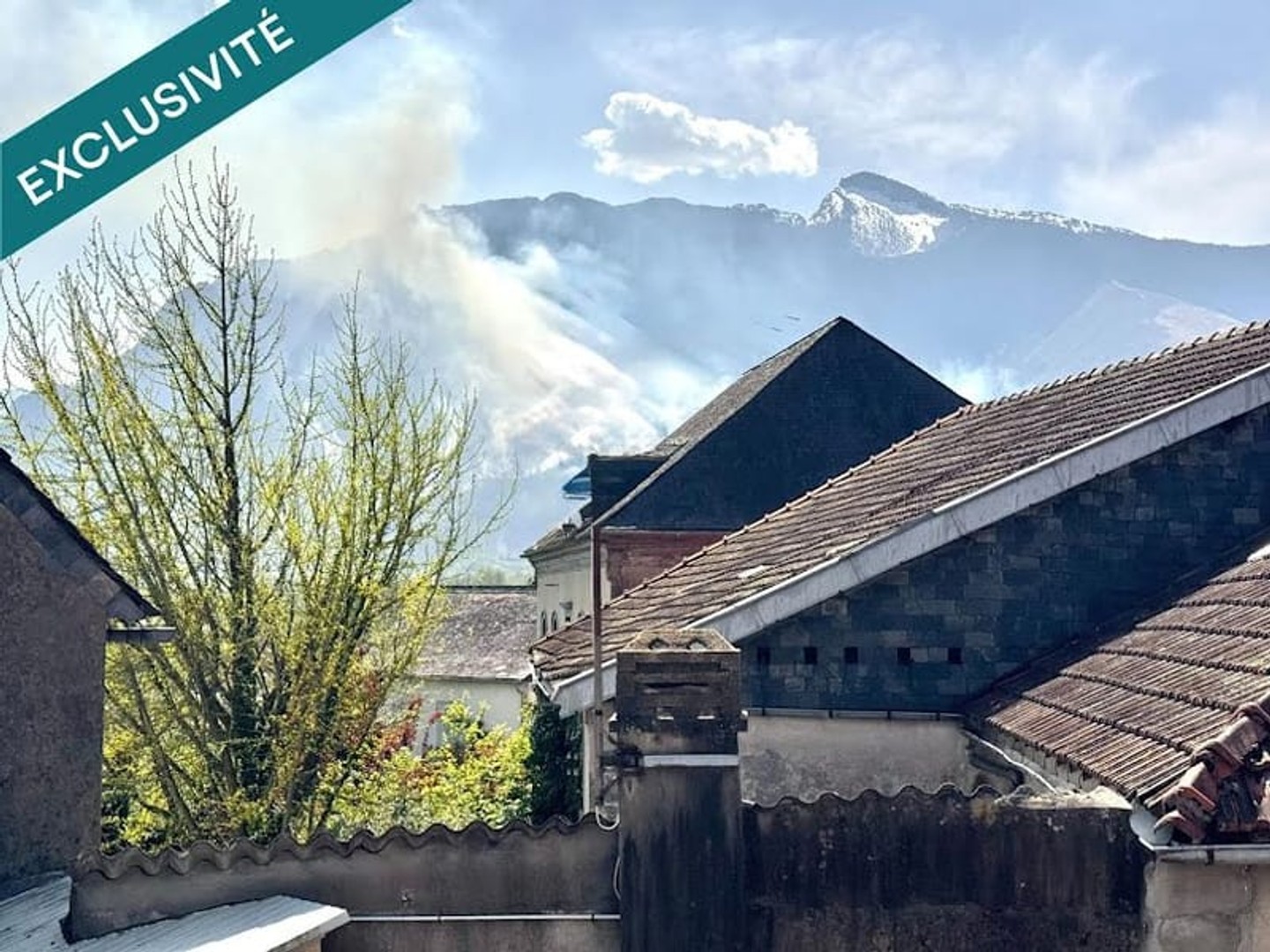 Magasin à vendre - 10 pièces - 310m2 - Bedous (64490)